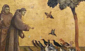 Św. Franciszek: Patron zwierząt i ekologii. Kogo jeszcze prosić?