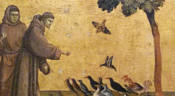 Św. Franciszek: Patron zwierząt i ekologii. Kogo jeszcze prosić?